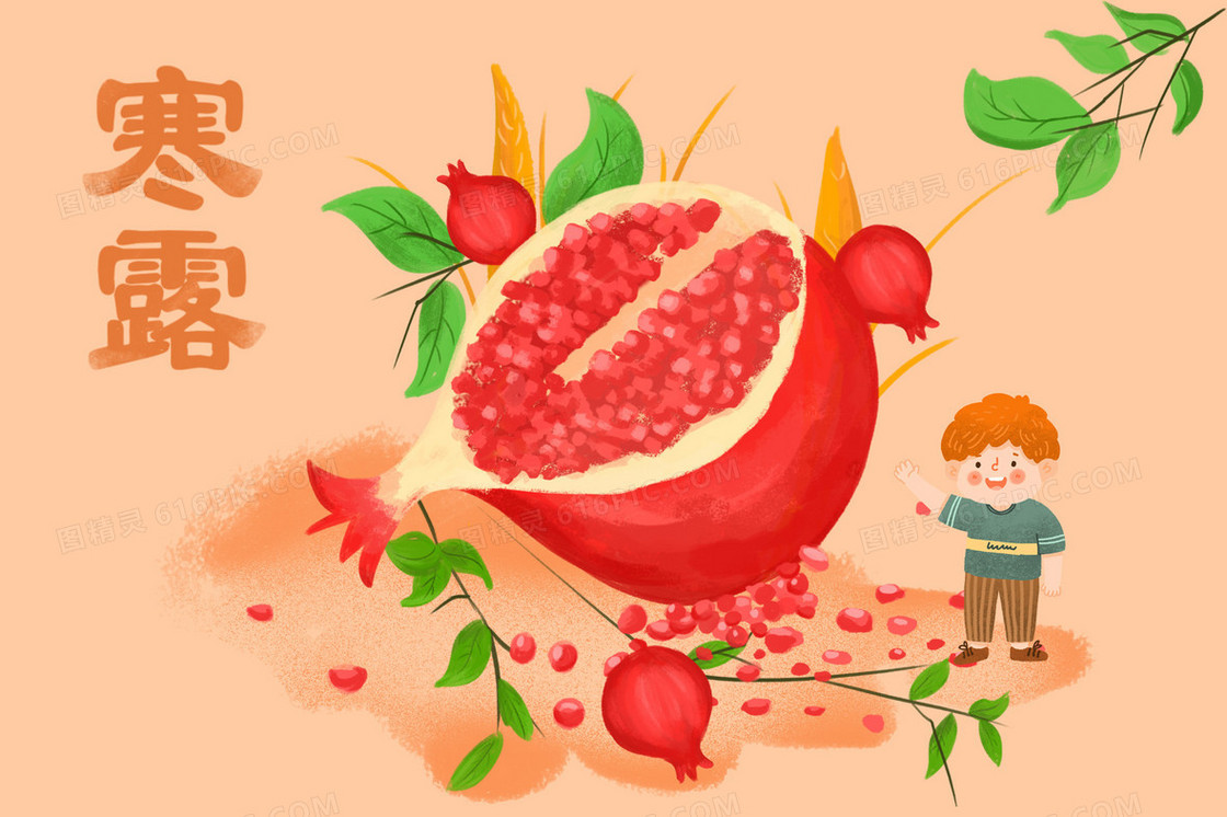 寒露节气石榴男孩微观插画