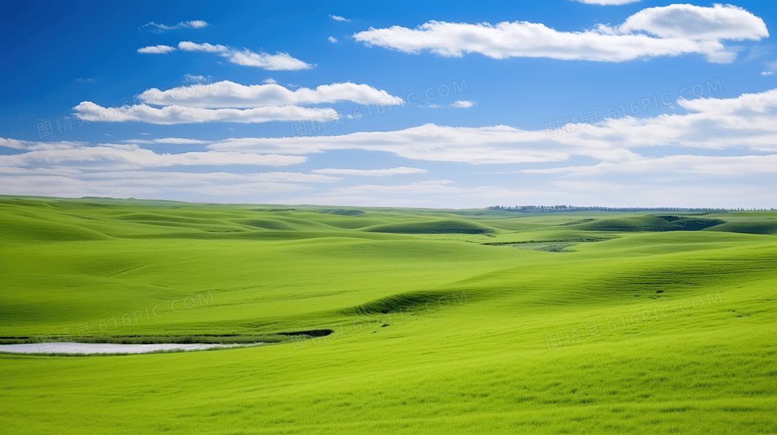 蓝天白云一望无际的绿色大草原图片