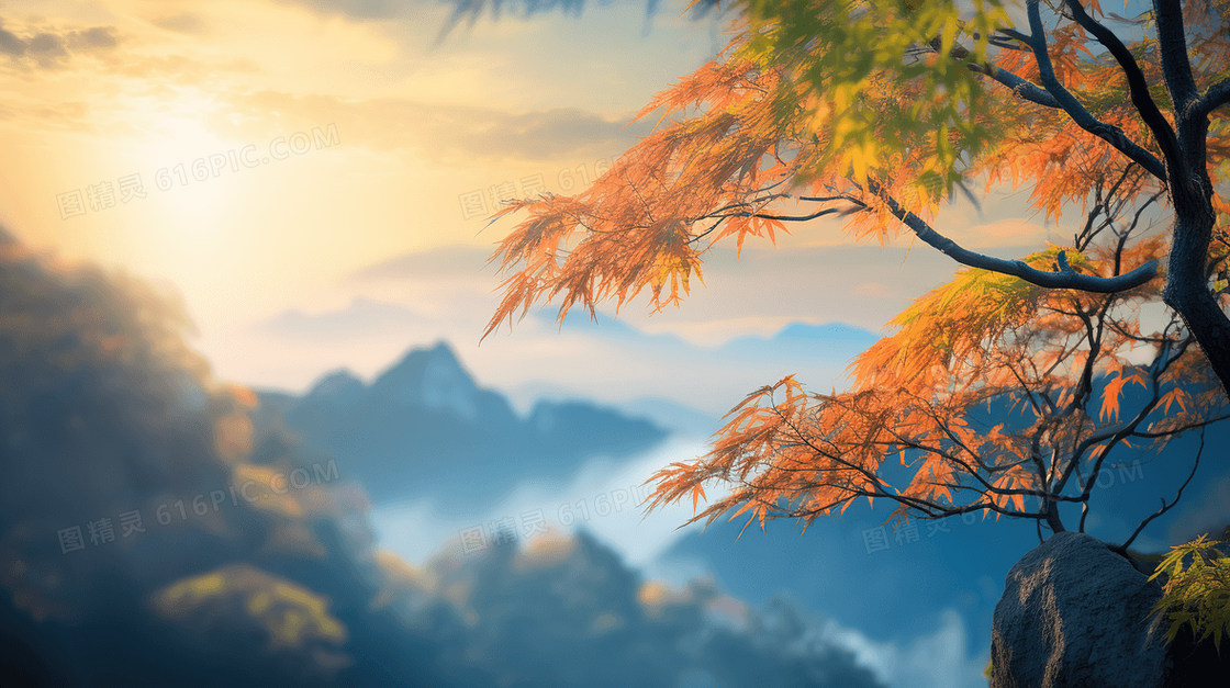 中国黄山自然风光美景概念图片