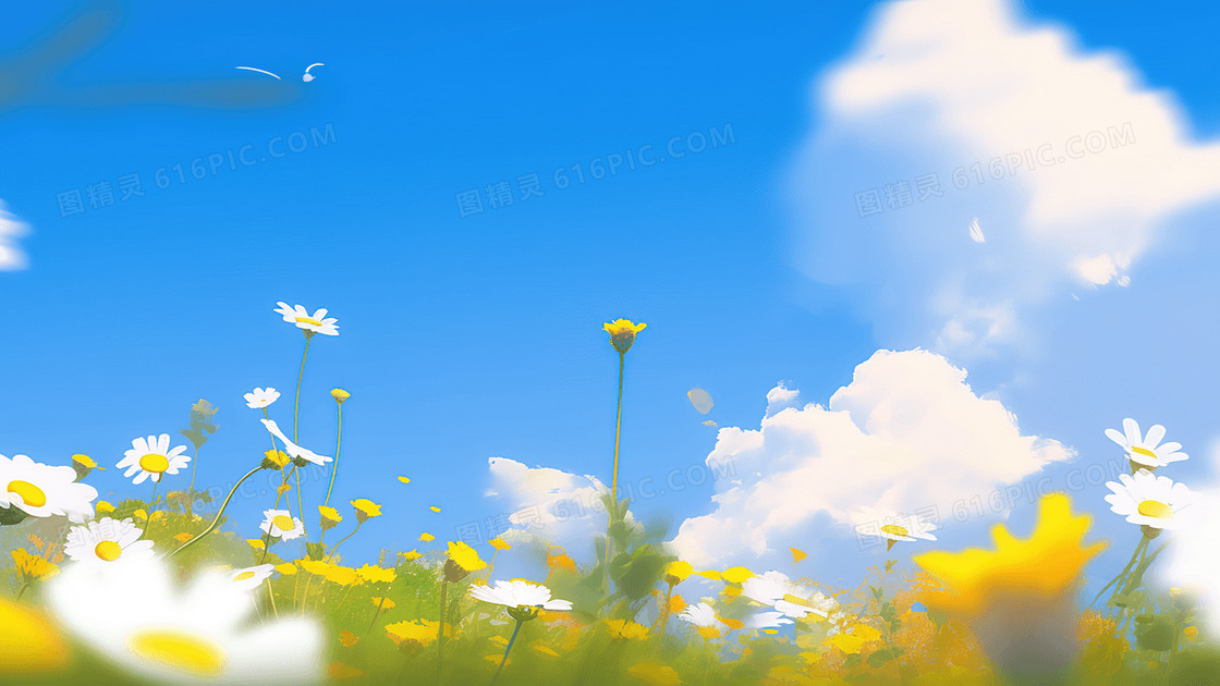 蓝天白云下清新唯美的野花图片