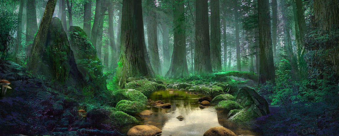 森林banner背景