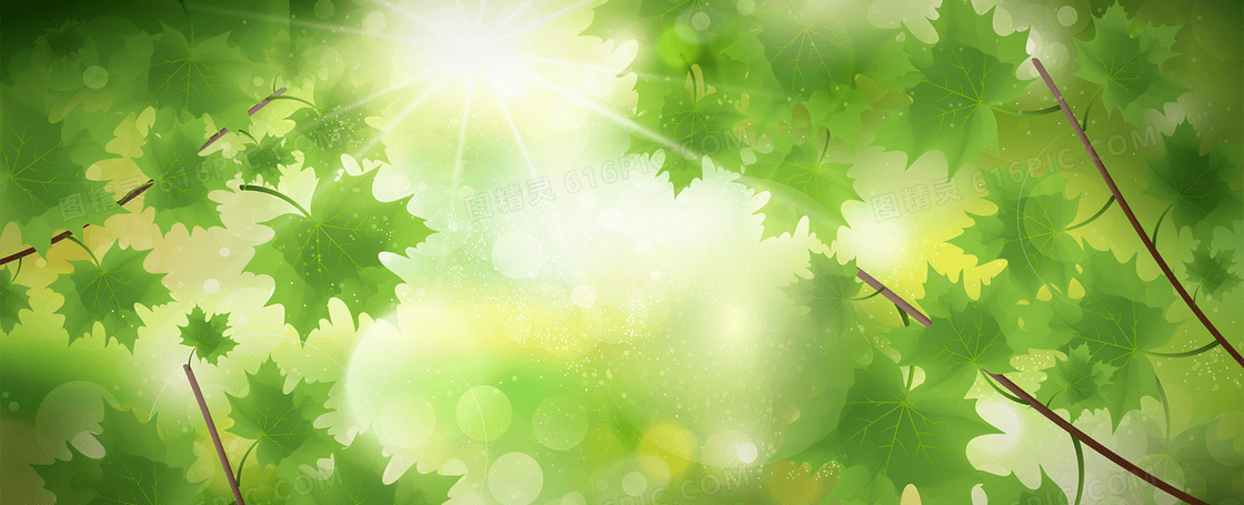 春季自然风景banner