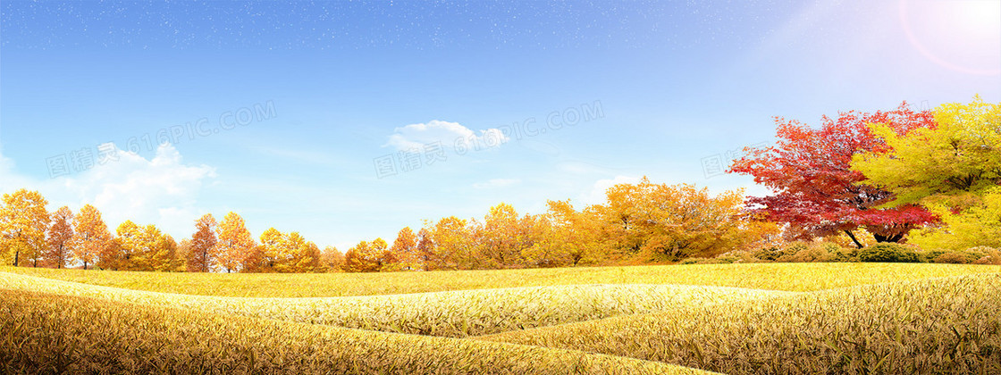 秋季风景背景