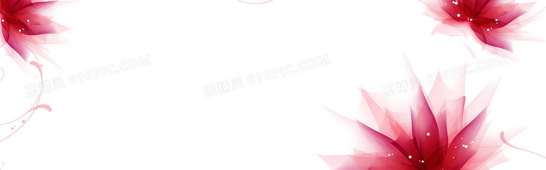 边饰 花朵 白色 
