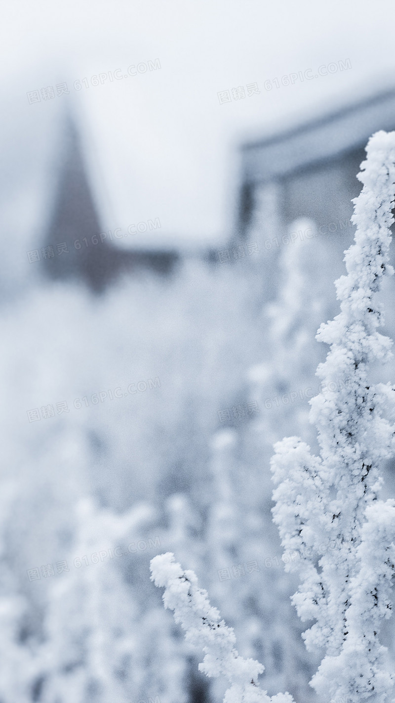 雪景雪花冬至简约背景