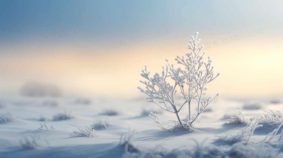雪原上被雪覆盖的植物插画