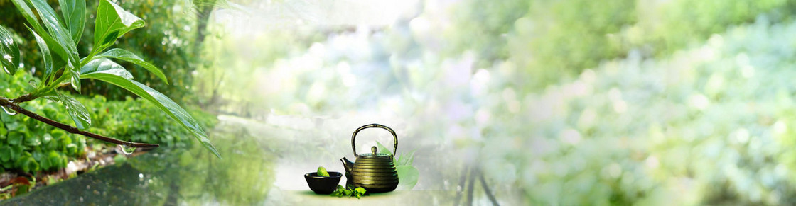 绿色小清新背景