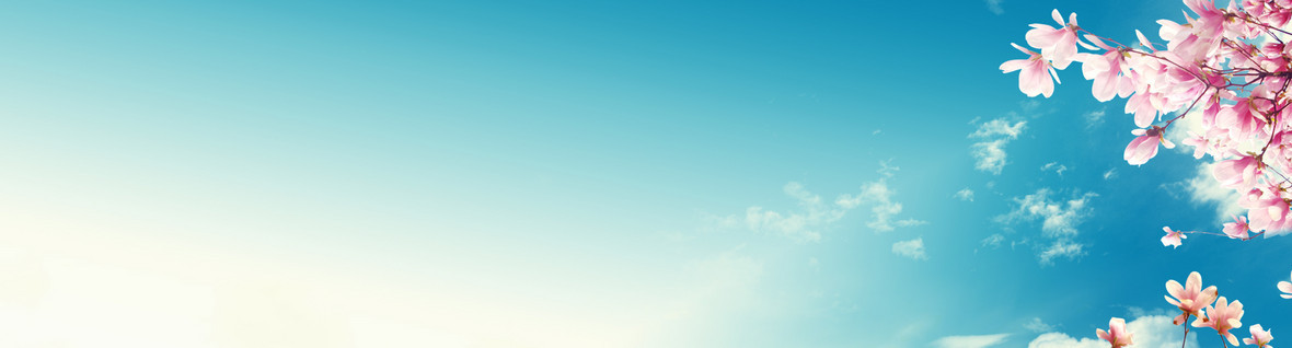 春天花朵背景背景图片下载_1920x517像素jpg格式_编号z6yfxelov_图