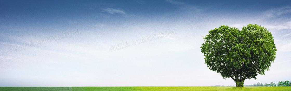 绿树蓝天 背景 banner