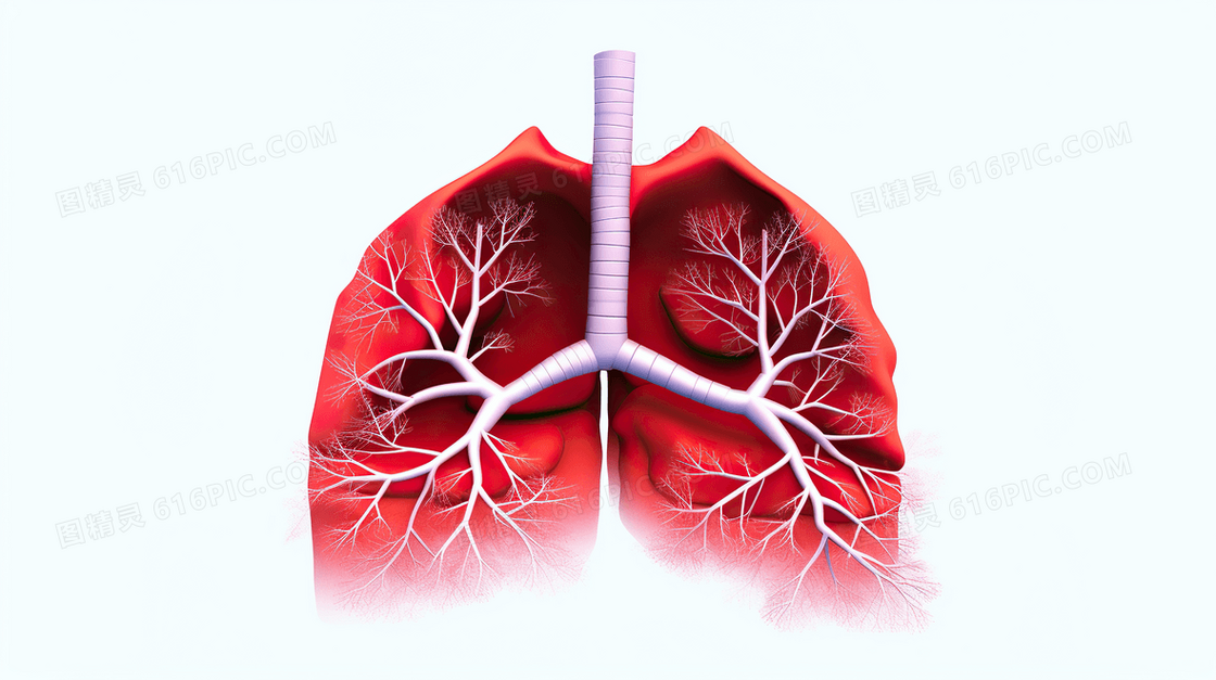 预防肺部疾病医疗健康身体器官插画