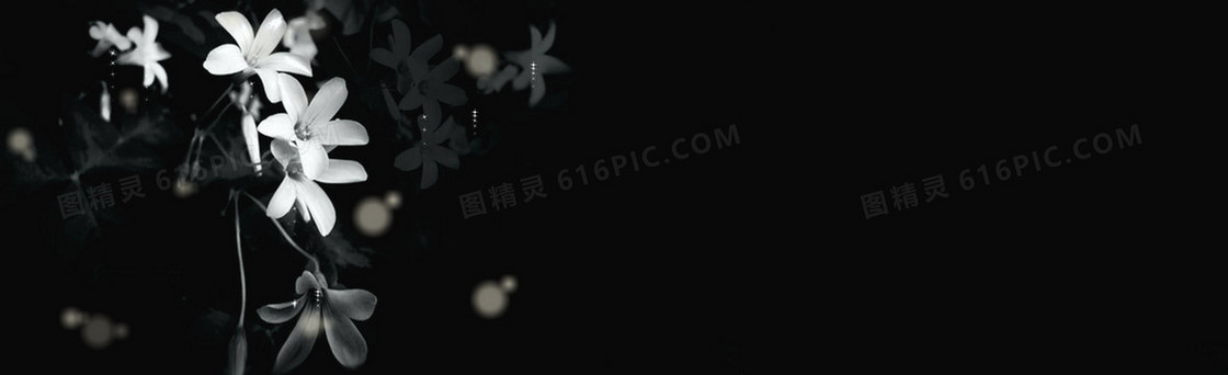 黑色唯美兰花背景banner