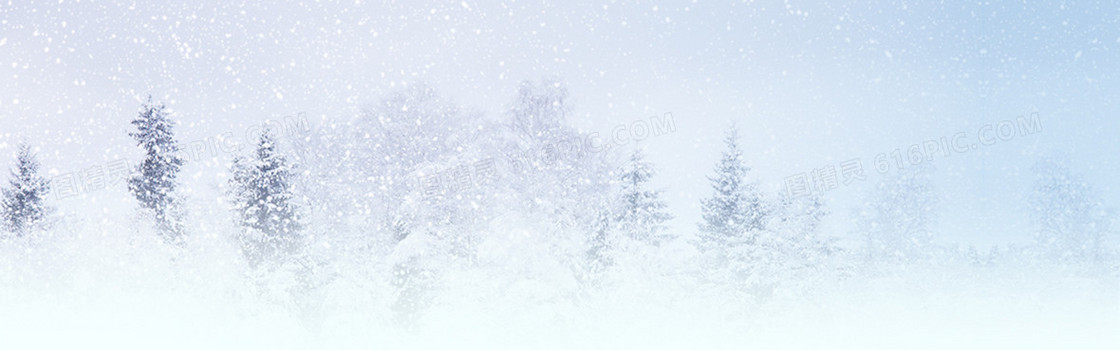 大雪森林