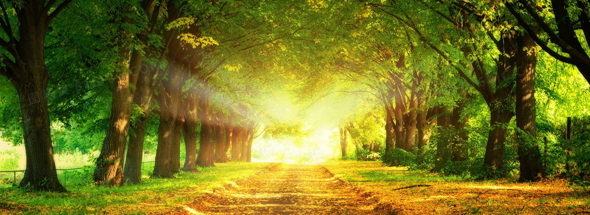 淘宝天猫店铺装修海报背景图片下载_1920x600像素jpg格式_编号15ofe05