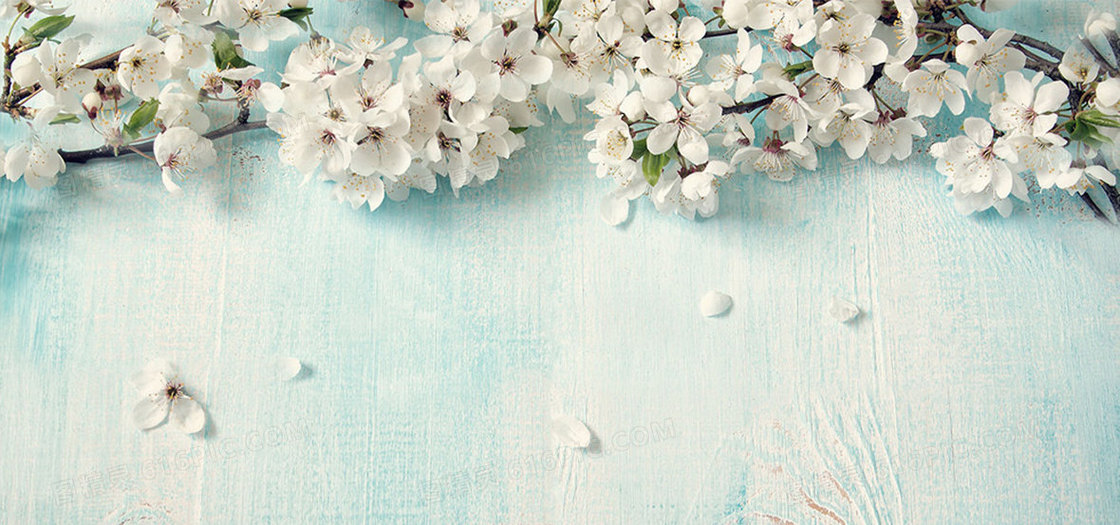 清新蓝色木纹樱花背景