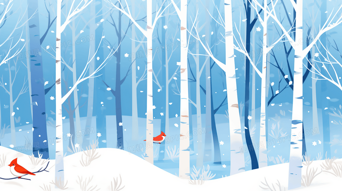 冬季积雪桦树林插画