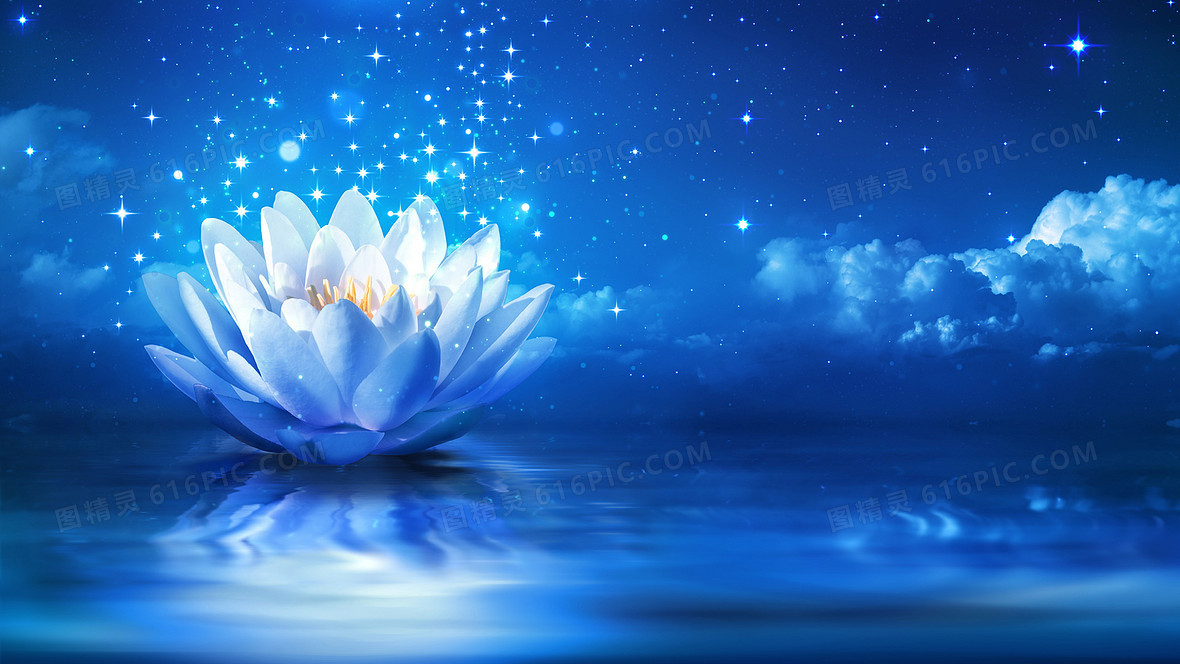 图精灵 背景图库 海报banner > 淘宝背景图秋季梦幻落叶枫叶