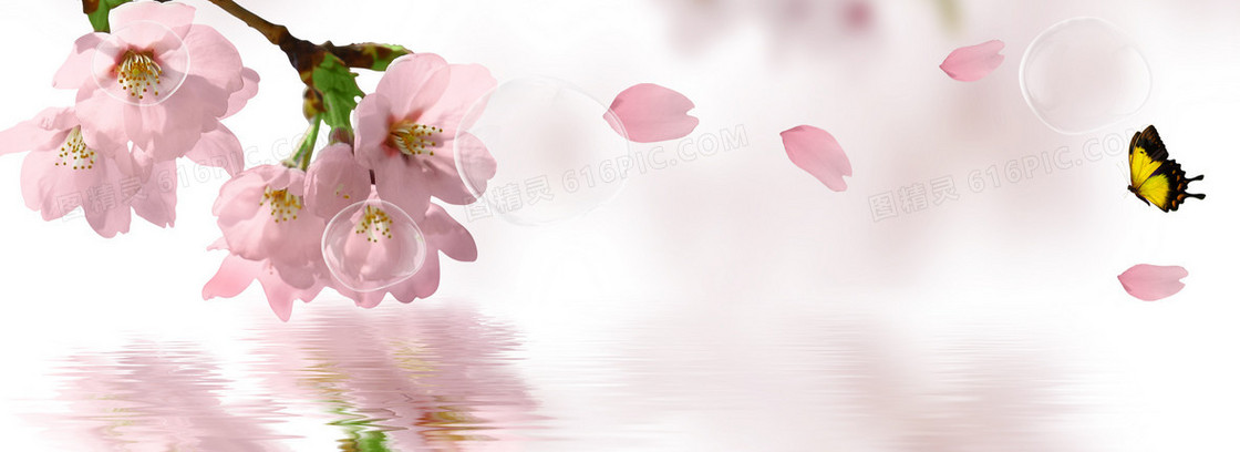 樱花背景banner