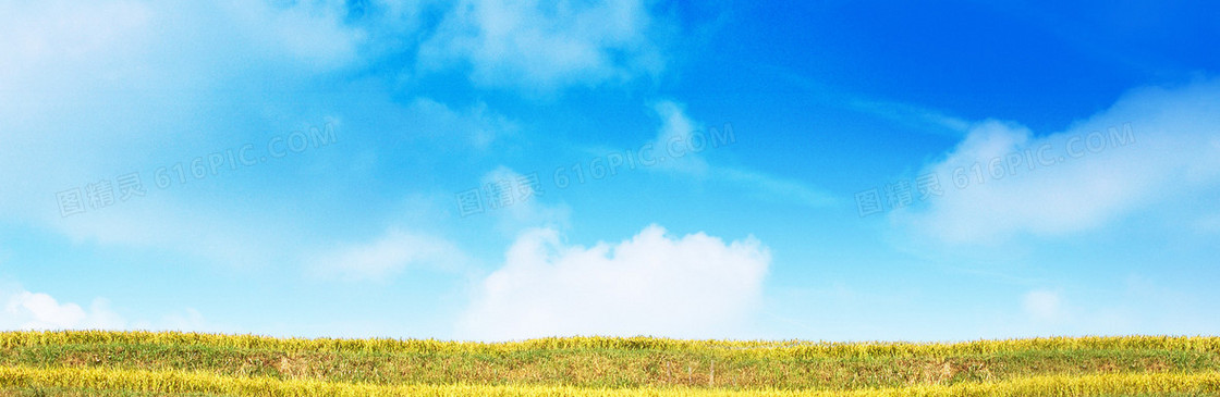 清新背景