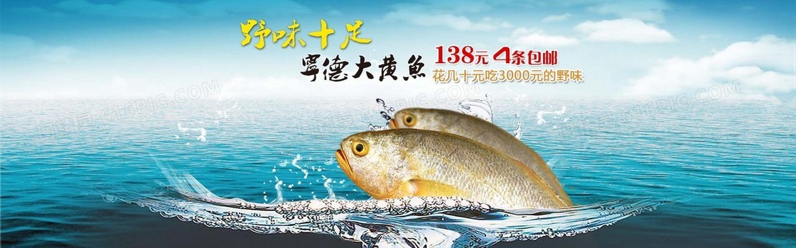 大黄鱼banner