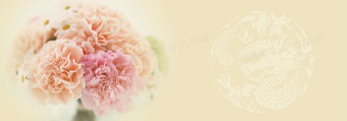 生日贺卡温馨康乃馨背景banner