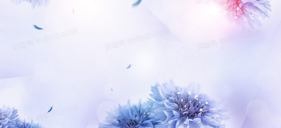 小清新 蓝色花banner