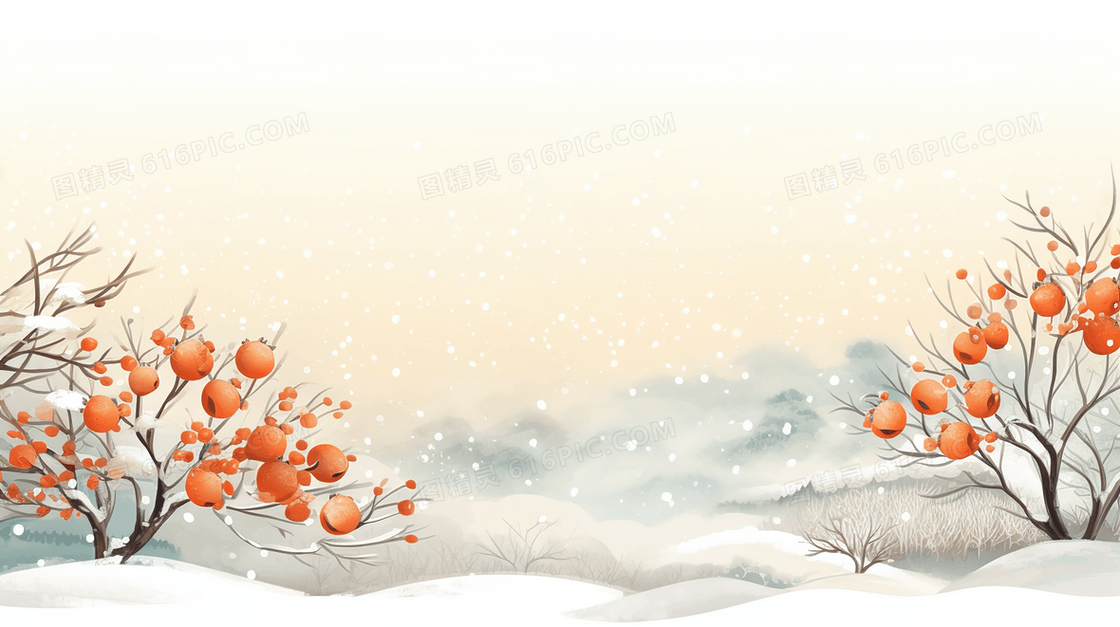 冬天雪地里金灿灿的柿子树插画
