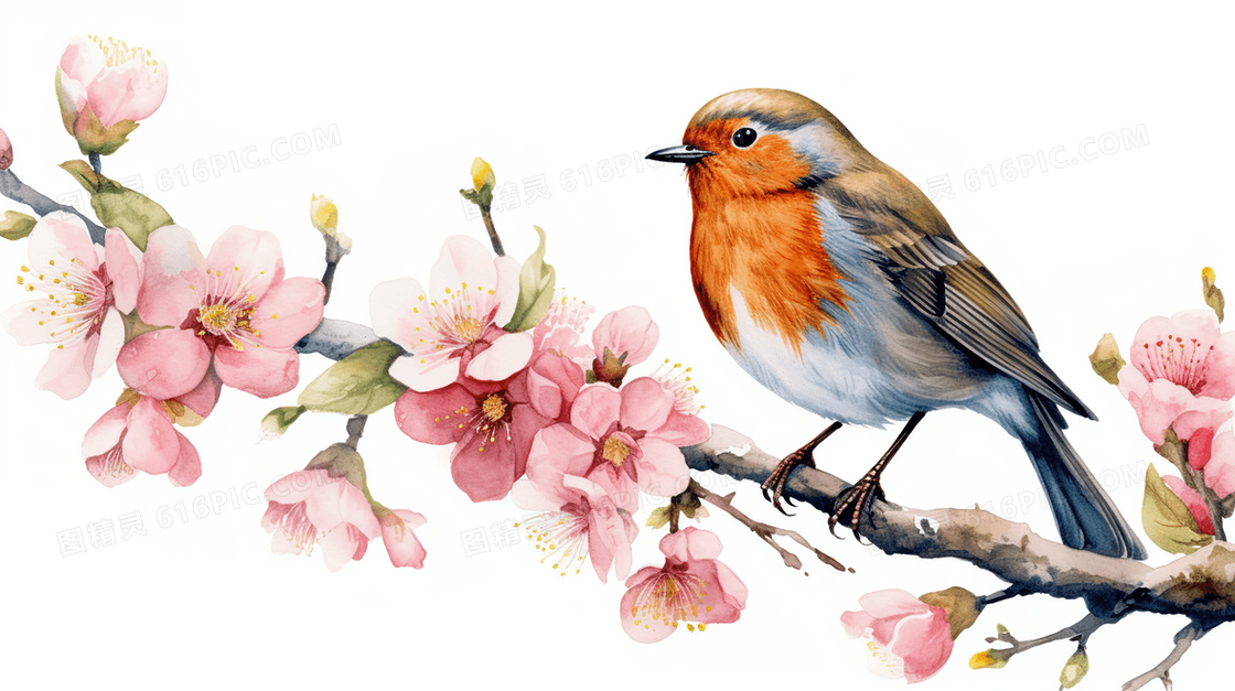 粉色桃花树枝上的麻雀小鸟插画