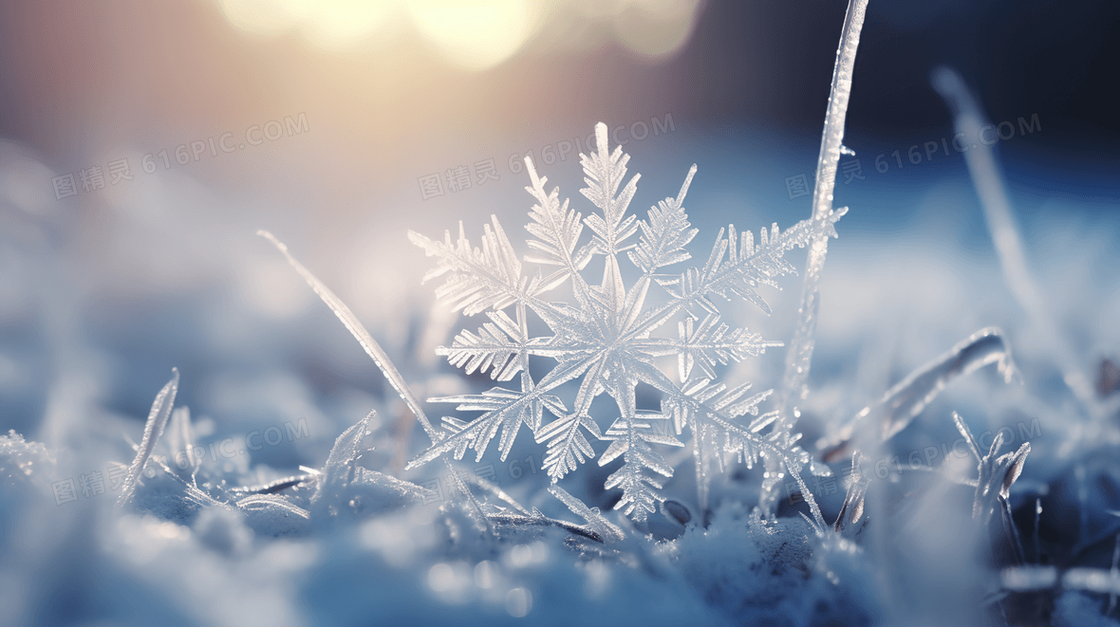 冬天雪地上的雪花概念图片