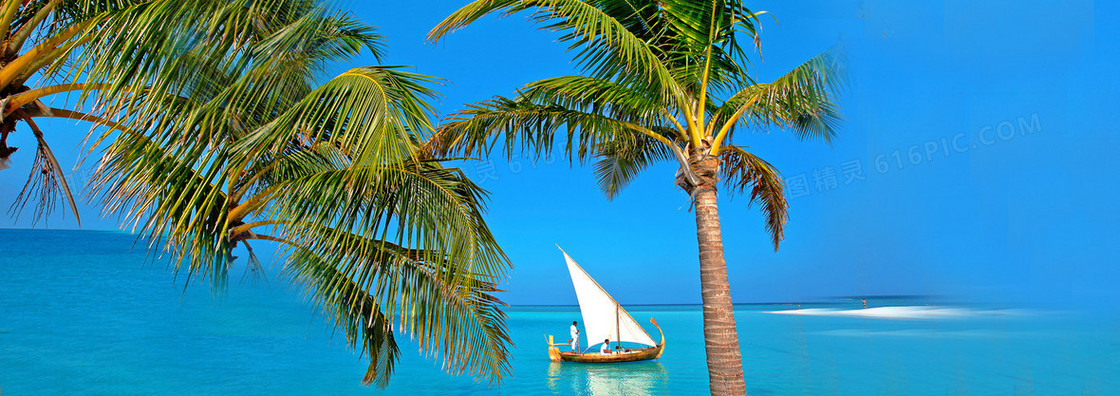 海南旅游椰树清新背景banner