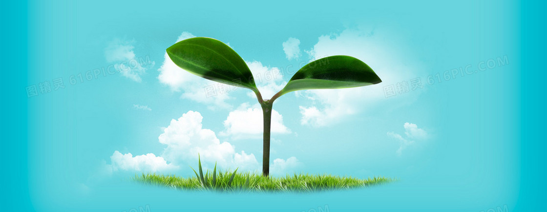 学生教育背景banner