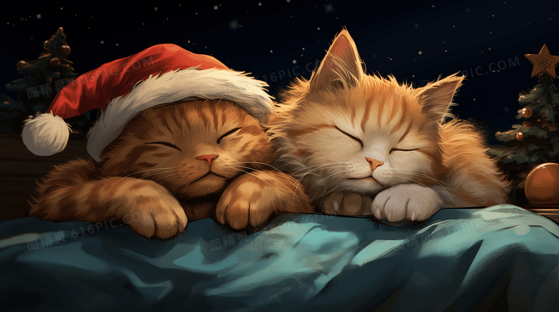 圣诞夜熟睡的猫咪插画