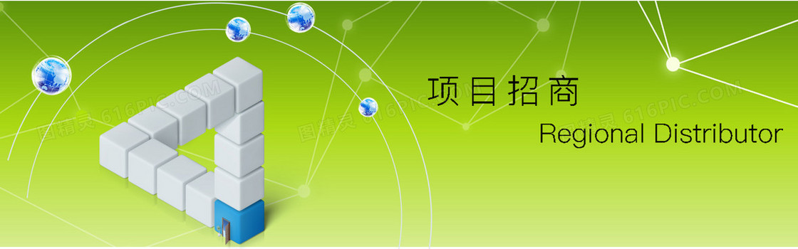 项目招商背景