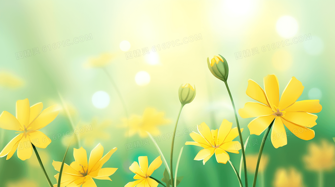 春天草地里盛开的黄色小花插画