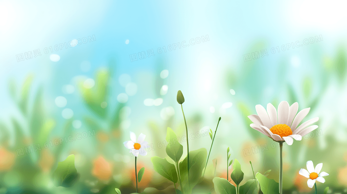 春天草地里盛开的小雏菊插画