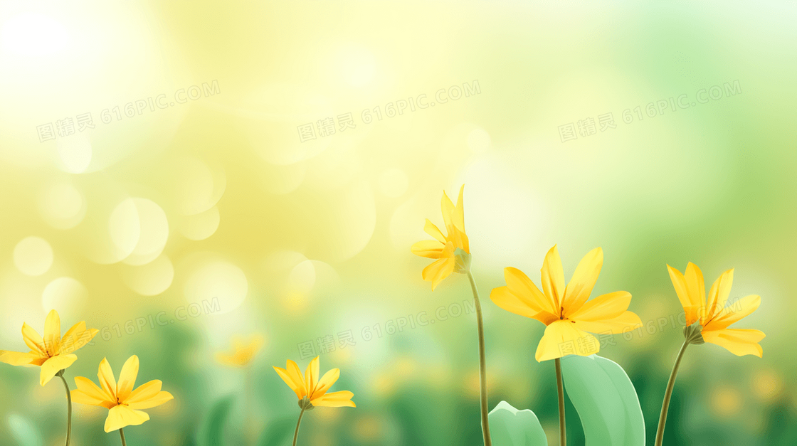 春天草地里盛开的黄色小花插画