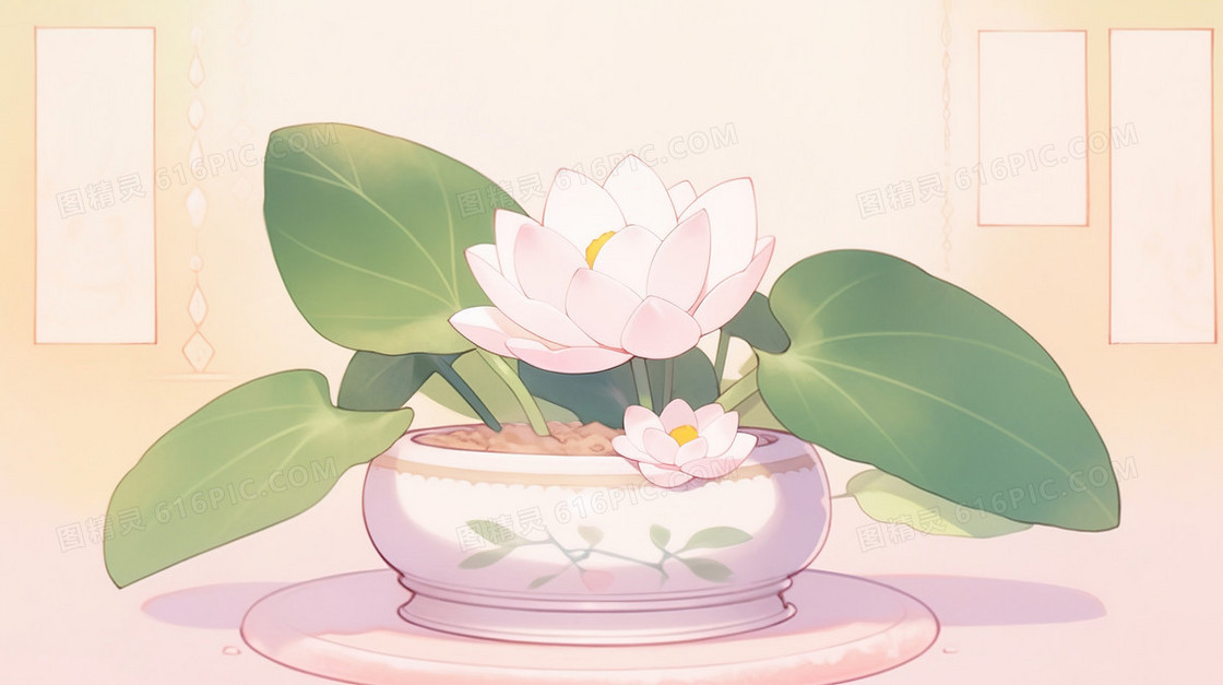 桌子上的多肉莲花盆栽插画
