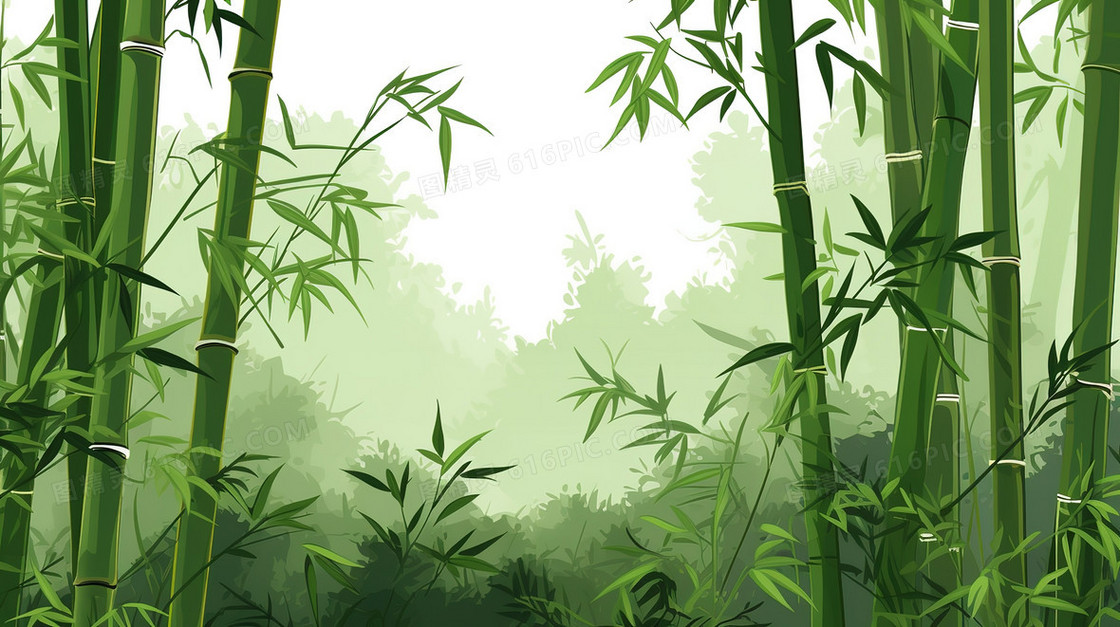 茂密翠绿的竹林插画