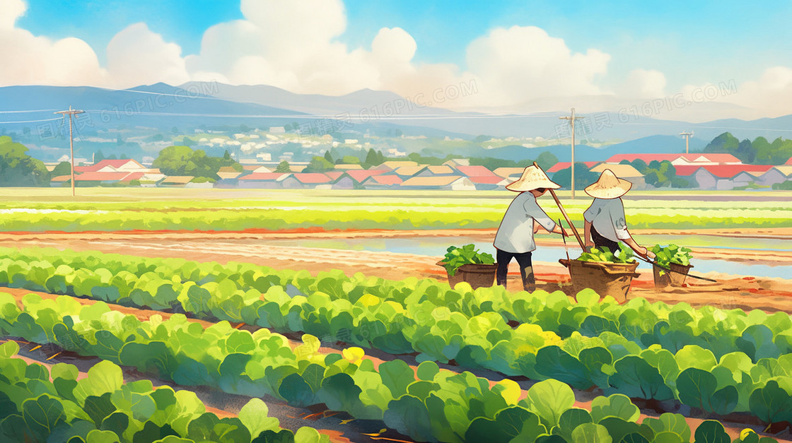 春天农民在田地里收割蔬菜插画