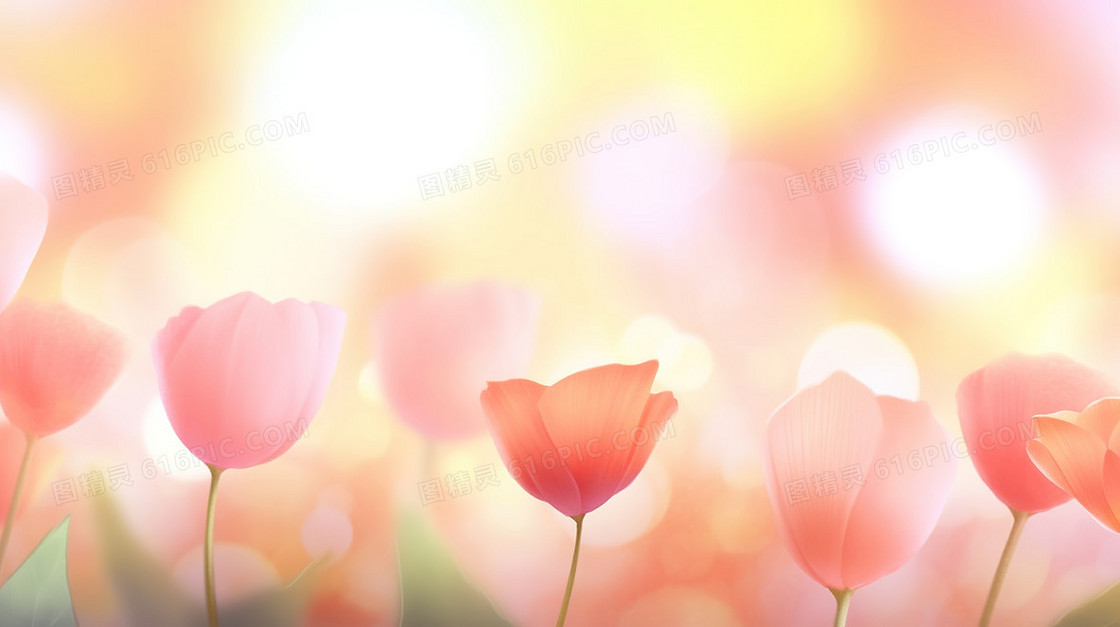 春季田野中粉色的花朵插画