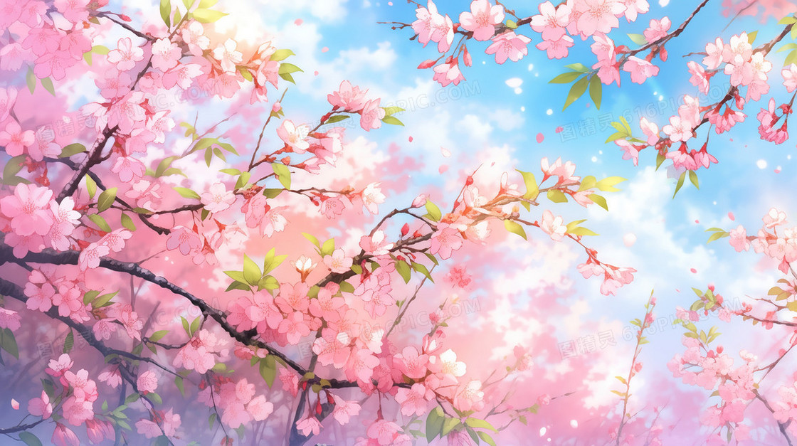 蓝天下盛开的樱花树插画