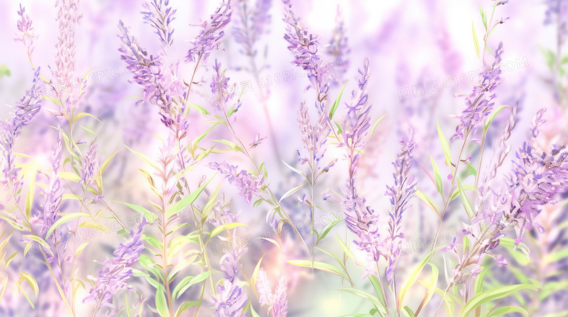 蓝紫色鲜花薰衣草花束装饰插画