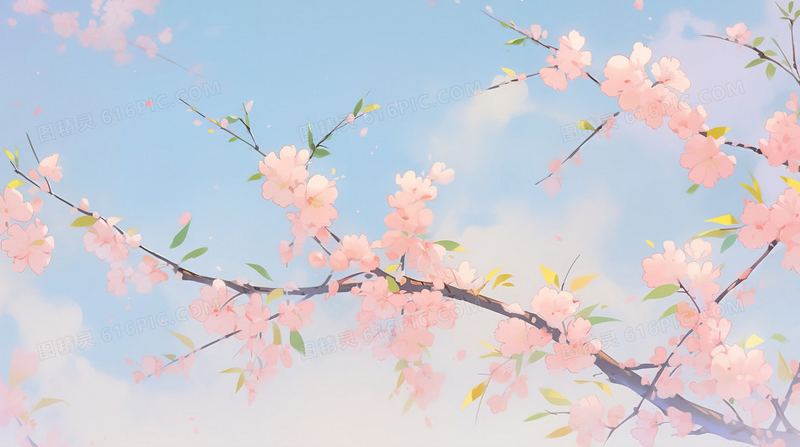 春天盛开的樱花树花枝插图