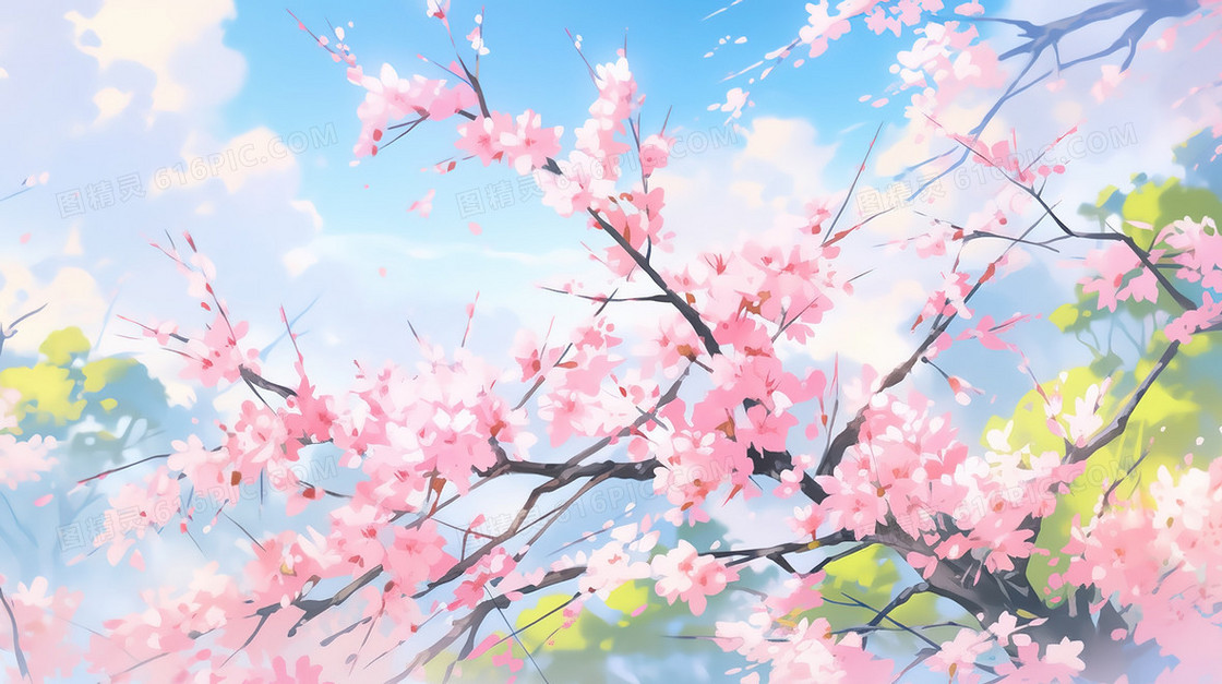 春天盛开的樱花树花枝插图