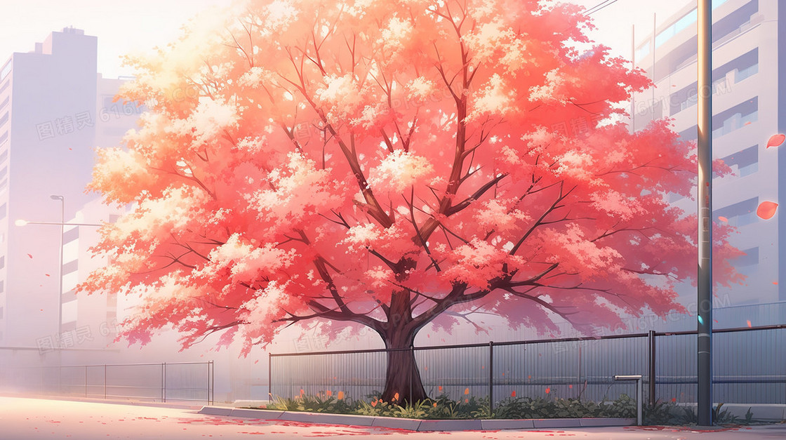 办公楼旁的红色的枫树插画
