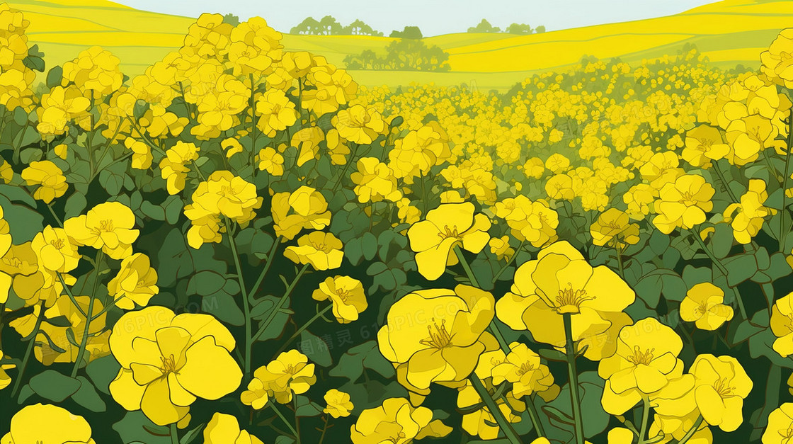 春天金黄色的油菜花田风景插画