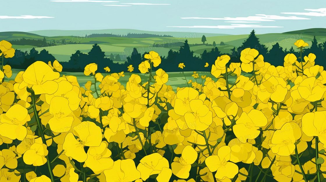 春天金黄色的油菜花田风景插画