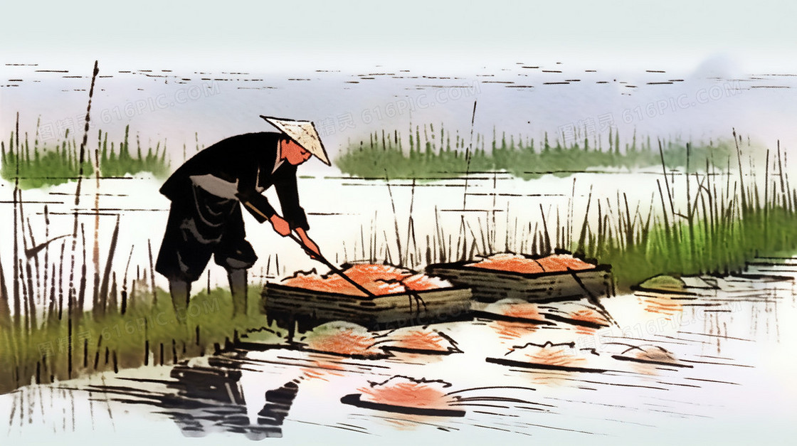 水稻田里干活的的农民插画