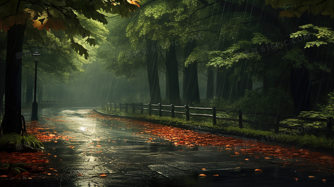 雨天枫林中的步道图片
