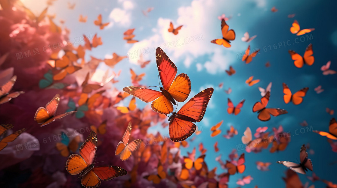 彩色唯美花丛蝴蝶电脑壁纸图片