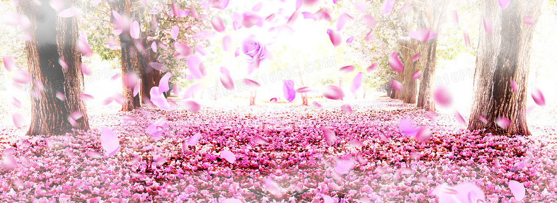 落花